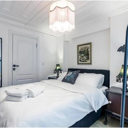 4-br Historical With 5 Ba, Great Location Estambul